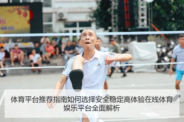 体育平台推荐指南如何选择安全稳定高体验在线体育娱乐平台全面解析
